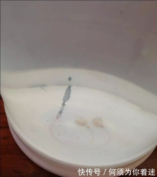 鱼儿|冬季鱼口轻,浮漂调钓很重要,这两点不考虑有口也没信号