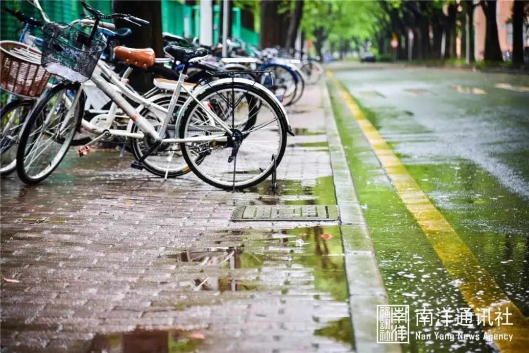 我“雨”最美校园，一起云赏沪上46所高校雨中即景