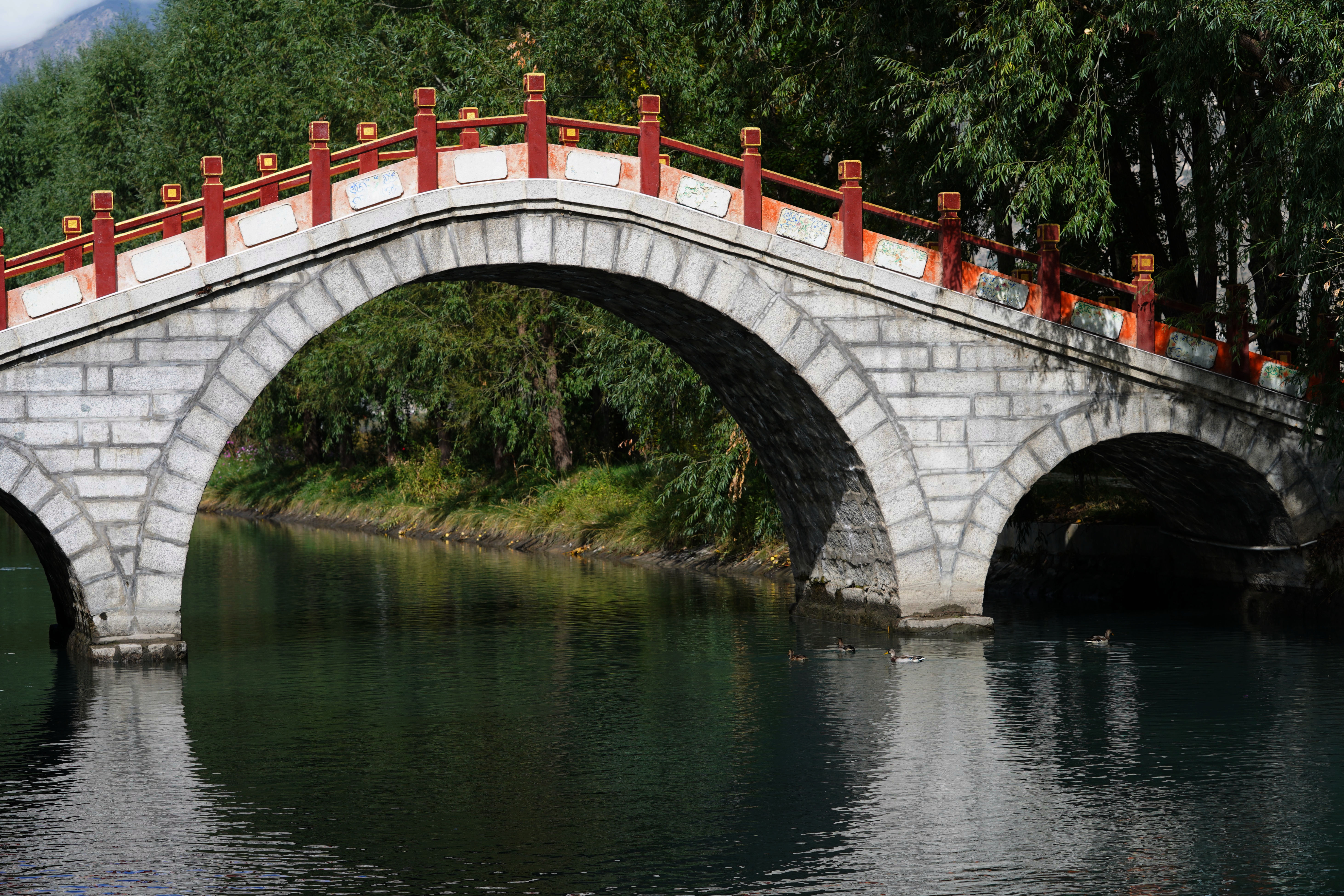 大昭寺|【80天单人单车环藏之旅】观览佛教圣地大昭寺，八廓街猎摄盛装美女