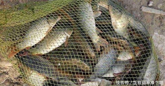 冬季钓鱼改掉“懒”字，学会“勤”字，爆护才是必然的