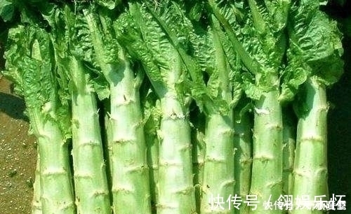辅助治疗|爱吃莴笋的人,身体不会差,但切忌与一物同食,现在知道还不晚