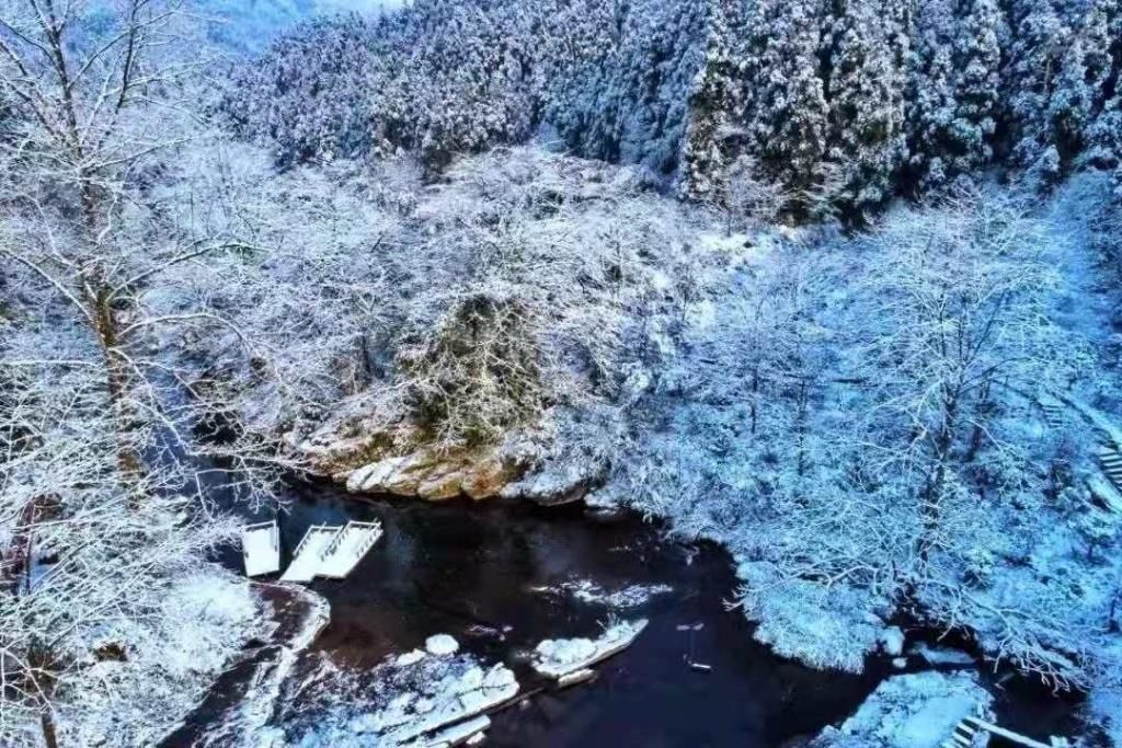  大雪：想念一场大雪纷飞 谱写一首冬日恋歌|话说二十四节气 | 大雪纷飞