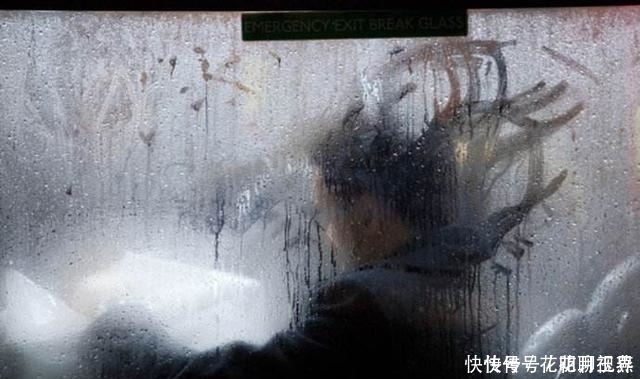 心中情|冬天的公交车窗是“灵魂画手”潜伏作案的地方