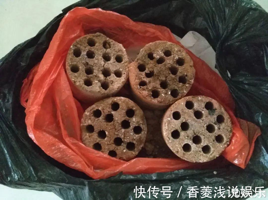 1把核桃垫盆底,不烂根、不招虫,疯长停不下来!