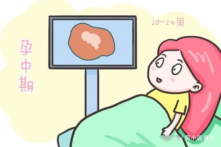 男孩|双顶径看男女:头小腿长是女孩,头大腿短是男孩?