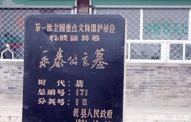 历史|考古专家打开此墓,墓中站着一具尸骨,重现一段血淋淋的历史!