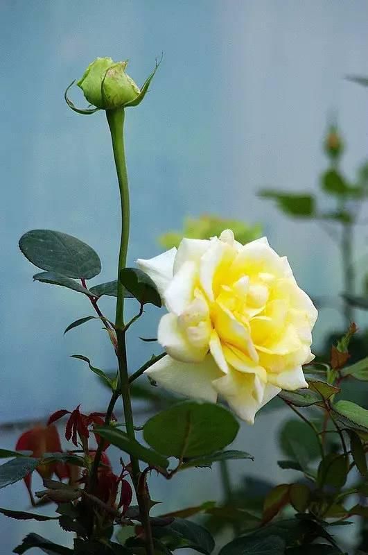 古人|古人六则拆字小笑话