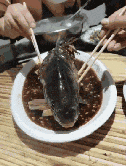 |搞笑GIF: 这要摔傻多少次,才能练成这样的技术呢