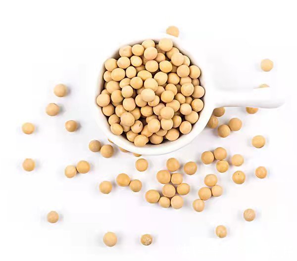 瘦身|女神之光:懒人瘦身小妙招!