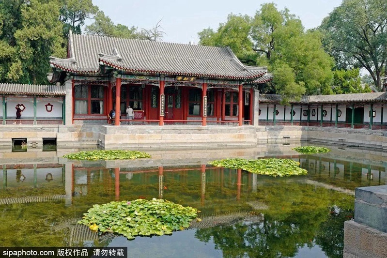 桂林|留京过年,打卡皇家园林|北海公园这里堪称中国最美的园中园!