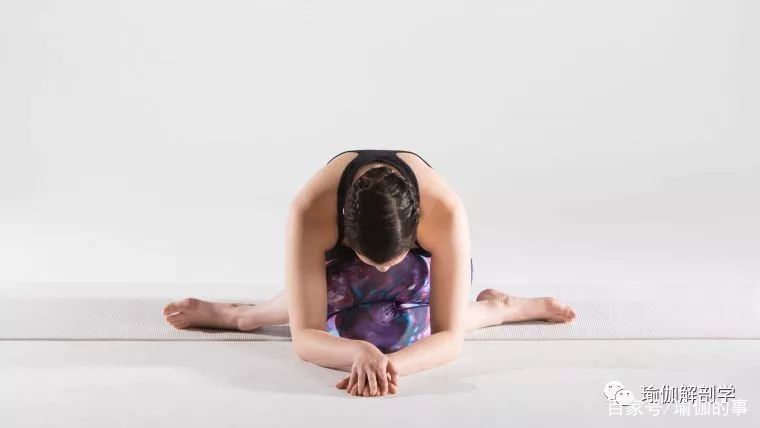 髂胫束|练瑜伽,髋部打不开,膝外侧疼常被忽视的髂胫束很重要