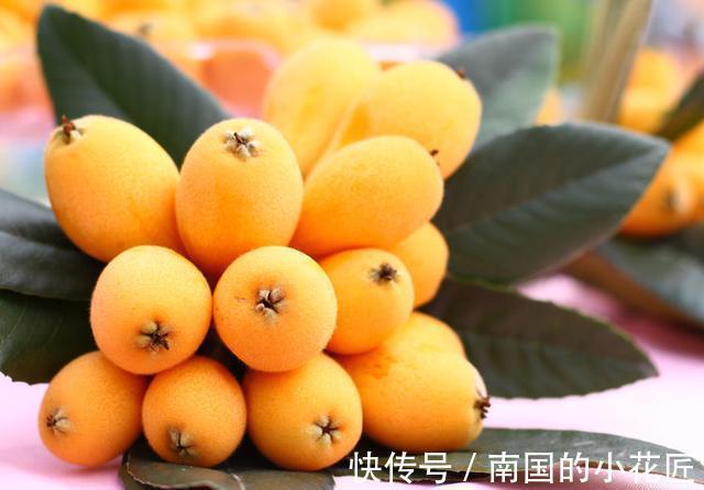 活血|会吃的人最健康,3种食物不错过,补血活血,增强体质,美容护肤