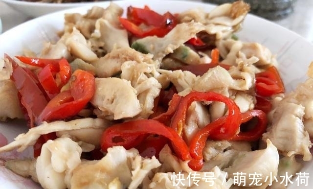 人工养殖|夏天,遇到此肉别手软,因无法人工养殖,好吃又营养,再贵也别省