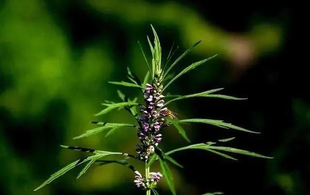 女性月经刚结束，这几个行为，劝你能忍则忍