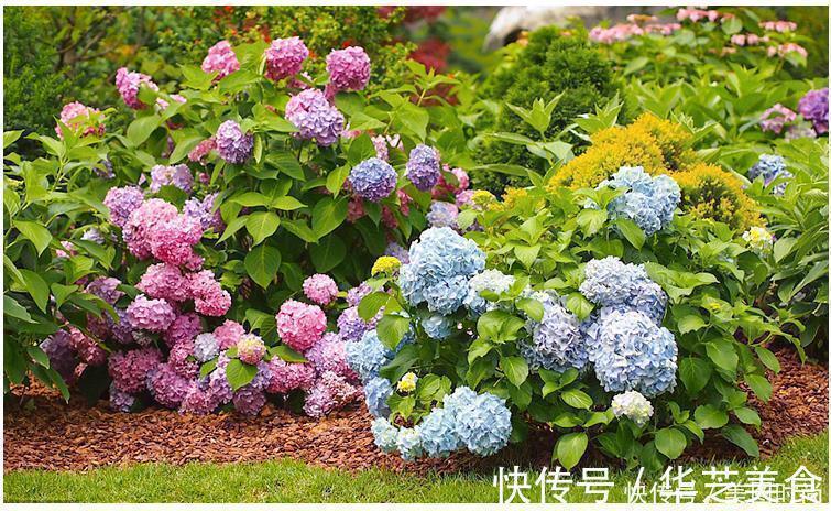 小院|现代日式混搭小院,没想到这么融洽舒适,这样的院子给我来一打!