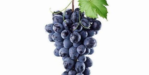 养肝护肝|肝脏也喜欢“吃水果”?医生提示:3种水果有益肝脏,可适量多吃