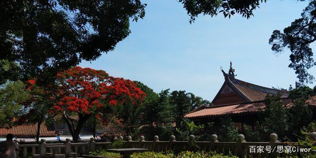 开元寺|思窝花脸开元寺，历史文化名城泉州的象征、海上丝绸之路起点