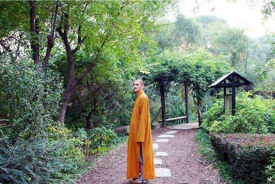 小伙@浙江80后小伙,放弃铁饭碗当和尚,却被富二代美女倒追,为啥