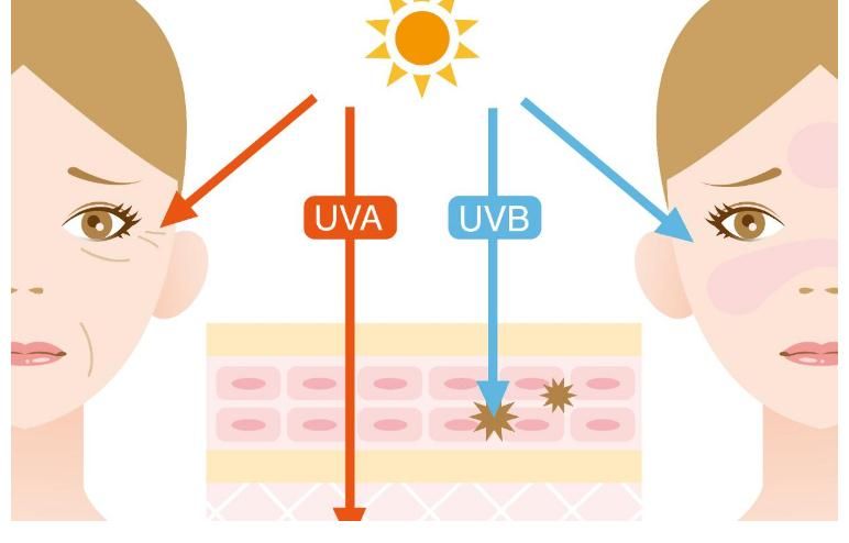 黄褐斑|皮肤的天然“去黄剂”被找到,若爱吃,消除黑色素,养颜补气血