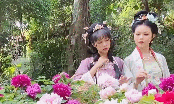 “百花之王”来广州了！这些地方隐藏了大片花海，爱了爱了