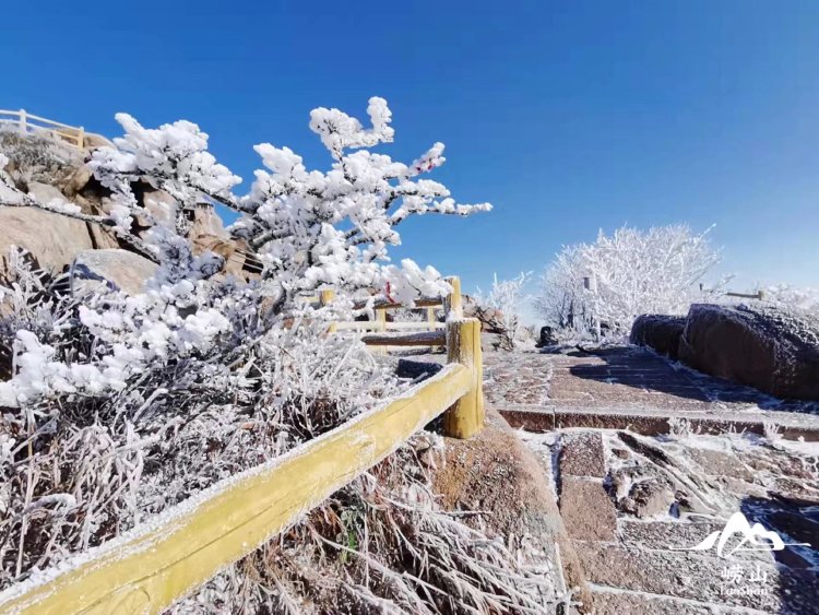 第一场雪|首秀大片来袭！崂山，下雪啦