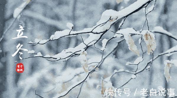 红叶&昨夜清霜冷絮裯,纷纷红叶满阶头