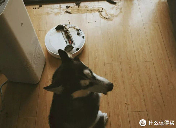 烘衣机|生活艺术家 篇三十七:这5件家电劝你不要买,买完就想退,放家里占地方,妥妥智商税