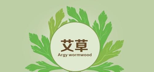 不论男女,经常用艾叶水洗头,解决不少烦恼,成本还低