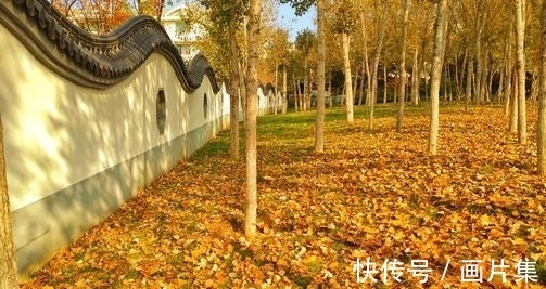 排行榜&史上10大悼亡诗词排行榜,首首令人泪目,哪首最感动人?