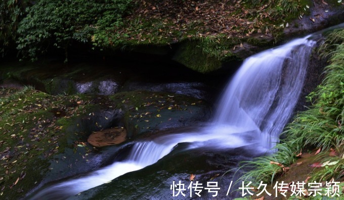 故乡|大熊猫的故乡，拥有峡谷瀑布景观，荣升为5A级景区