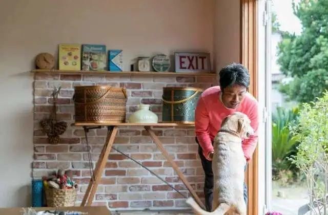 庭院|与毛小孩一同庭院嬉戏!日本复古乡村风平房翻新