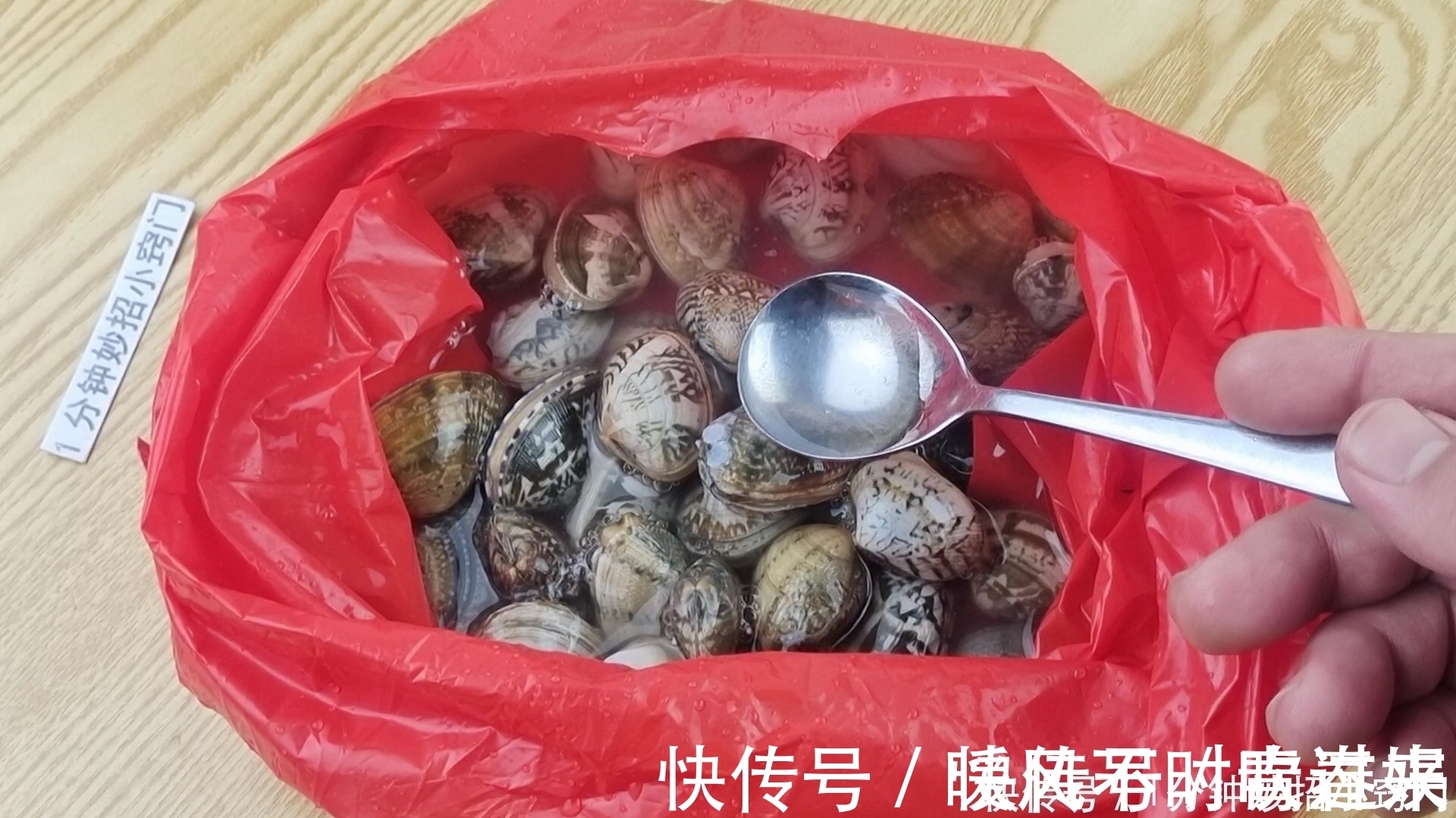 洗花蛤时,不要加盐了!老渔民:教你一招,花蛤疯狂快速吐沙