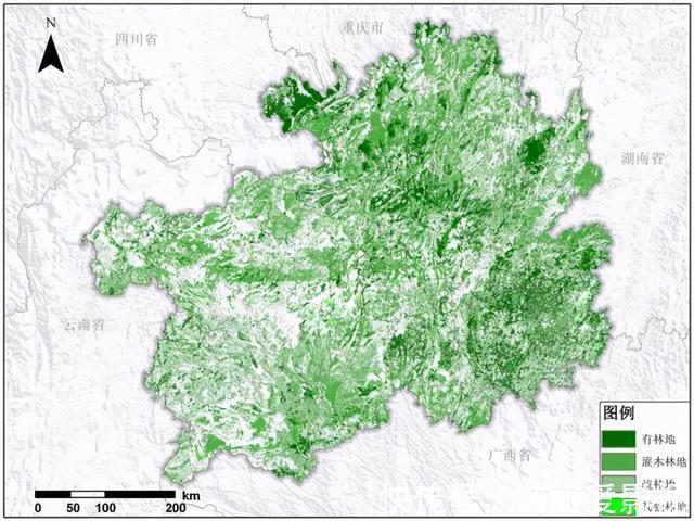 植物|消失20年！贵州再次发现中国特有植物富宁藤，重现意味着什么？