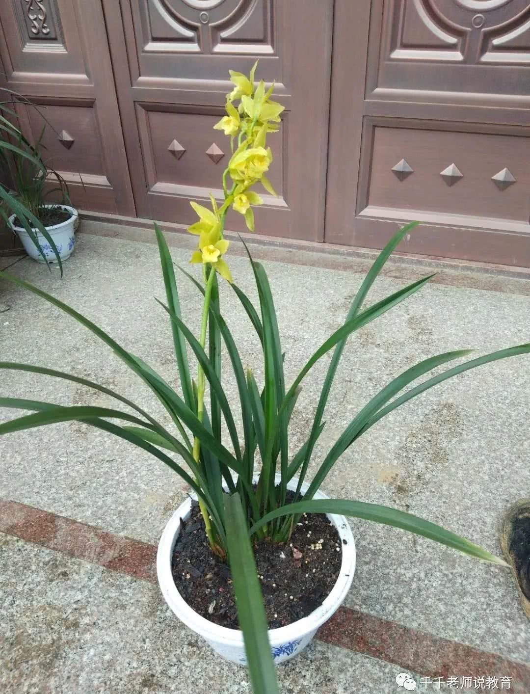 天道|从史记人物伯夷和叔齐看“天道是非”