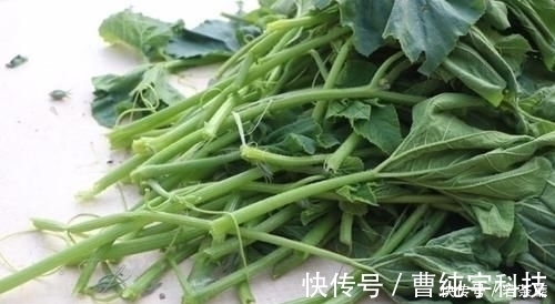 润肠|夏天,别错过这菜,1周吃4次,润肠排宿便,皮肤变白了,腰也细了