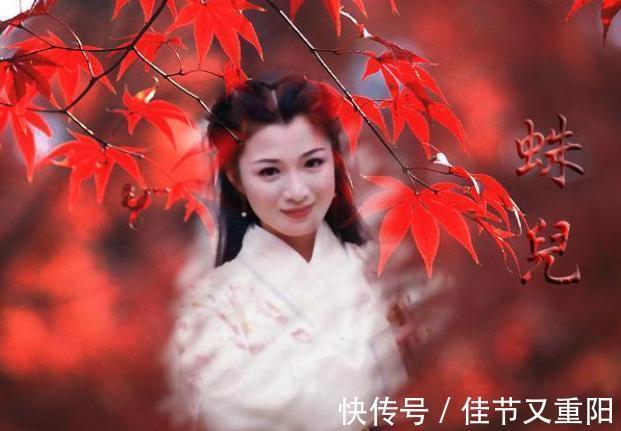 九阴真经@倚天后传:张无忌晚年幸福美满,四个老婆为他生下三儿一女