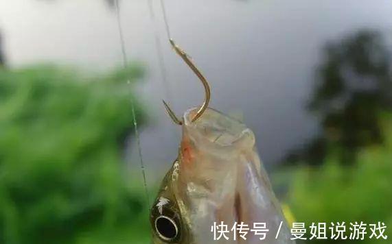 冬钓想要钓得多、钓得大,你就必须会四个“小”