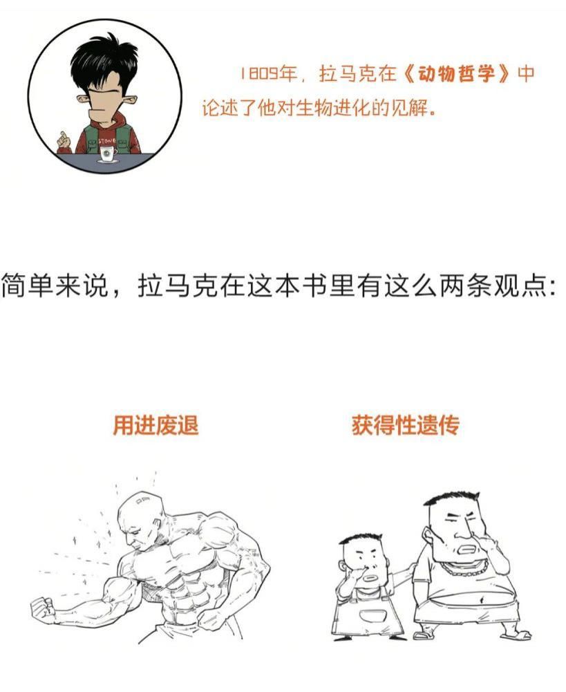 学了这么多年的进化论，竟然都理解错了？