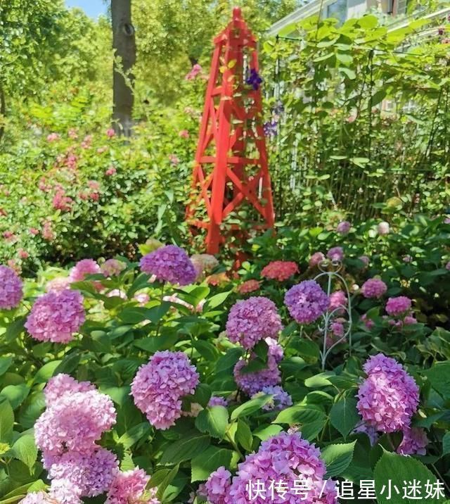 有了30平方的小院,能将日子过成了诗简单而精致,优雅而从容