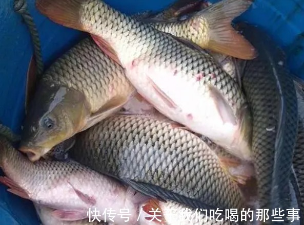 营养|这5种鱼没营养,对人体有害,早被拉入“黑名单”,但很多人爱吃