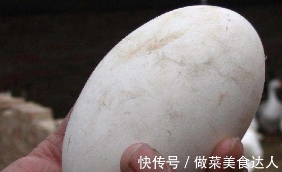 鹅蛋性|冬天,吃羊肉不如吃它,5块钱1个,补气御寒,孕妇孩子要多吃