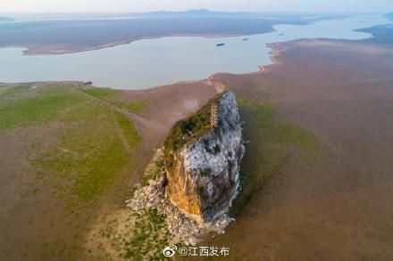 万鸟|震撼！万鸟归巢，就在湖口鞋山仙岛