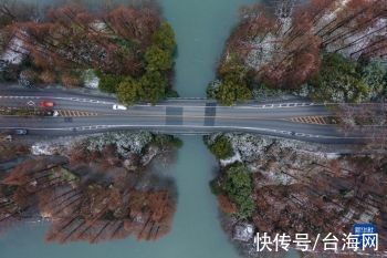 白雪|杭州西湖迎来新年初雪「组图」