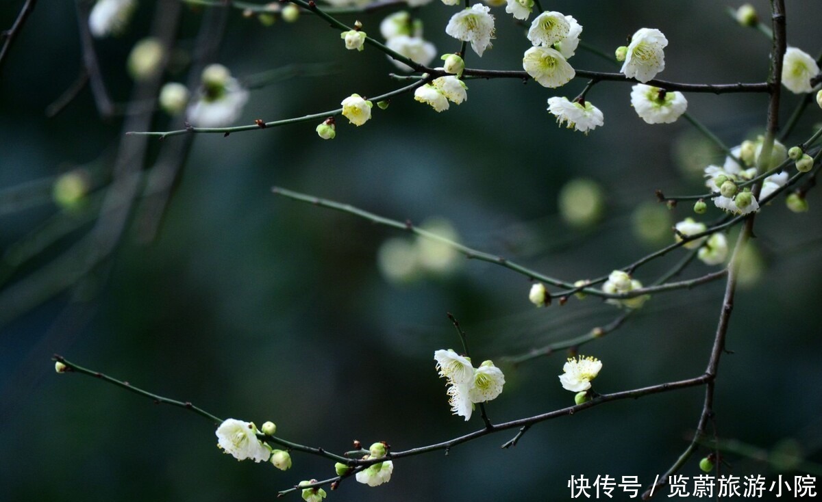  烟雨|画船听雨，流光寂寂，谁为一身江南烟雨，覆了天下