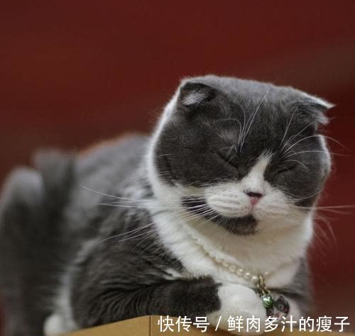 |幽默笑话:刚在车站咖啡厅喝茶,进来一妇女,老板和她是朋友