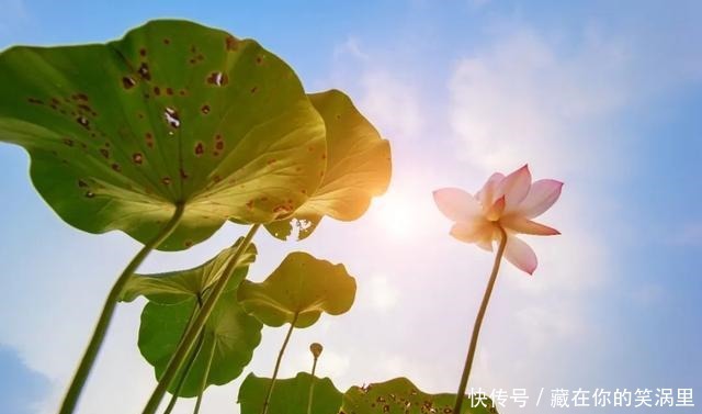 智慧人生的5个秘诀