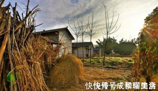 豆腐!俗话说豆腐下酒,不如喂狗,为何这么说其中真有科学依据