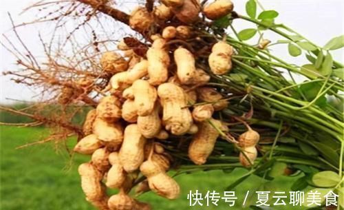 排毒|每天坚持吃3种食物,排毒养颜、延缓衰老,好吃又不贵!