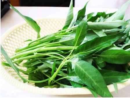 蛤蜊|女性想要越来越瘦，推荐三种食物，减肥瘦身，越来越健康