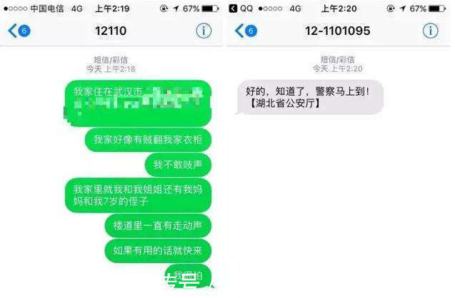 浣熊|20个冷知识不懂没关系，但绝对不能不知道，因为他们太常见了